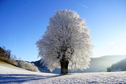 Zum Artikel "Klausuren im Wintersemester"